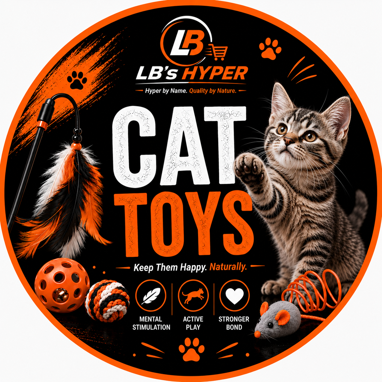 🧶 Cat Toys