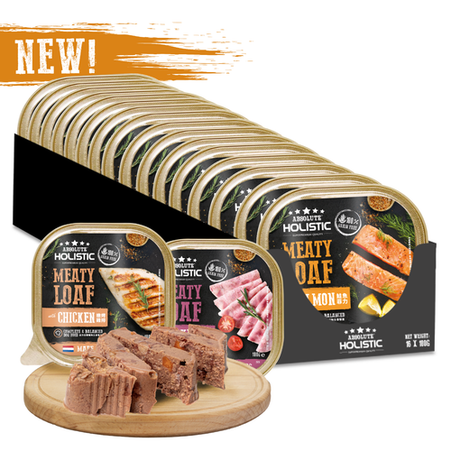 Absolute Holistic Meaty Loaf Wet Dog Food 16 × 100g – Salmon