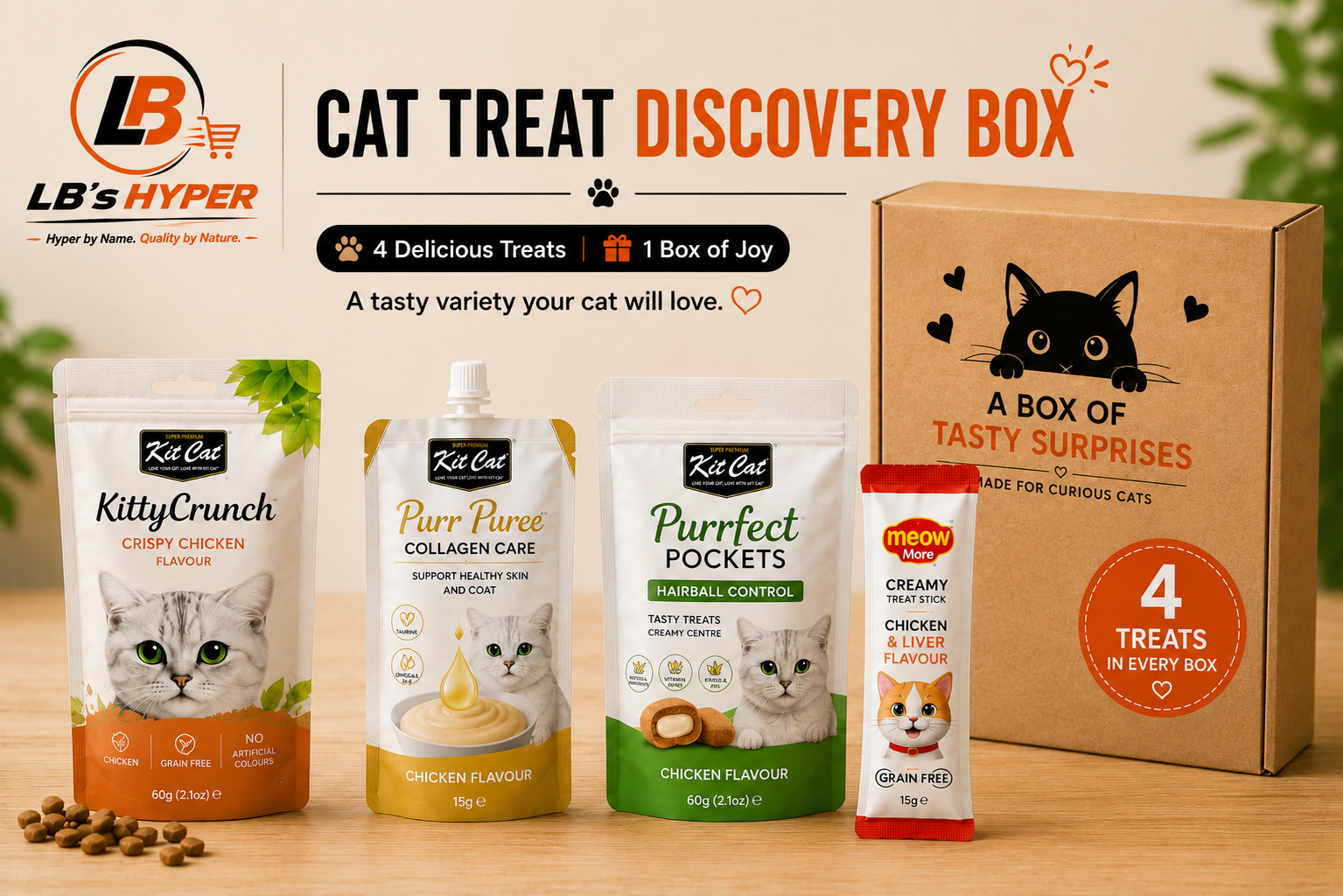 Cat Treat Discovery Box