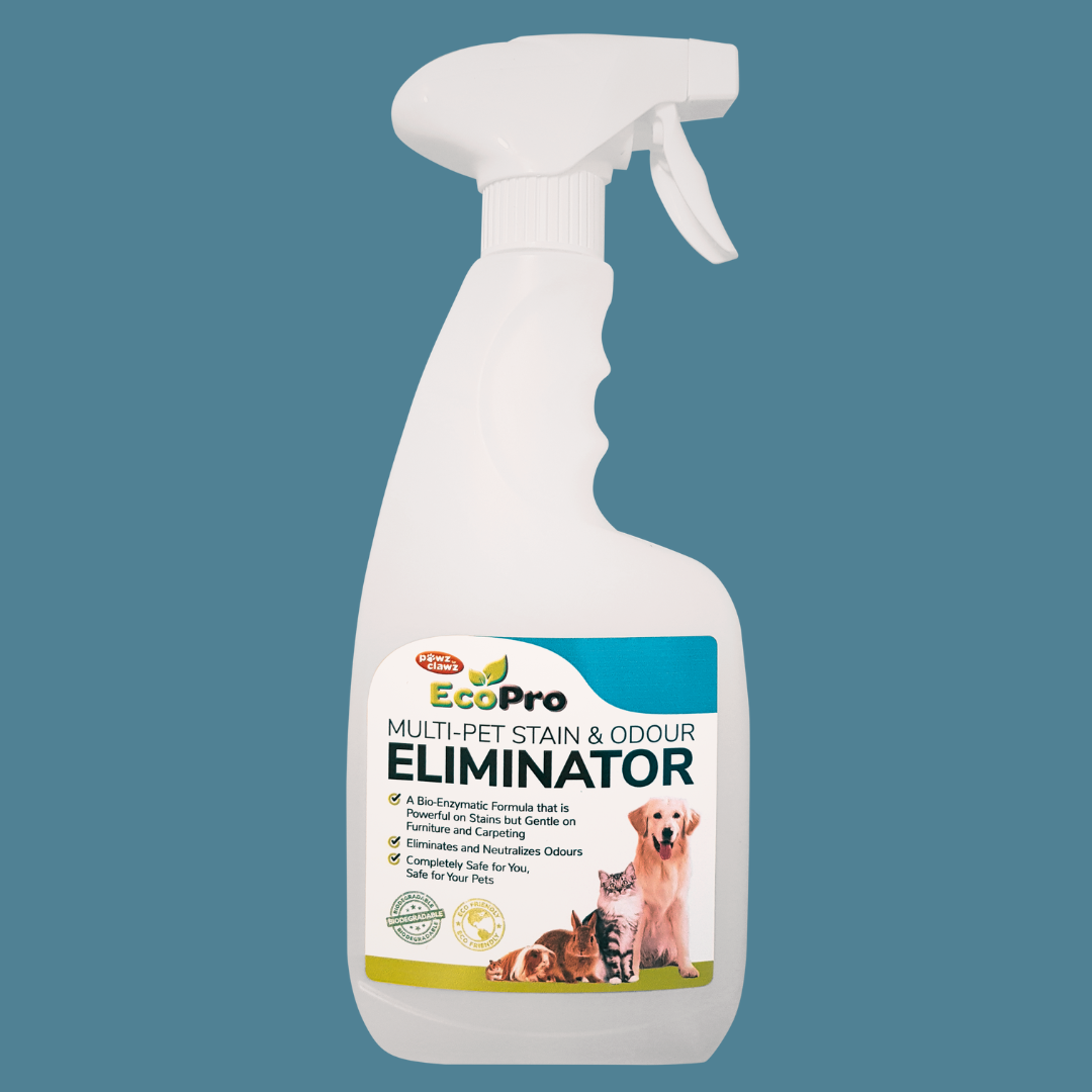 EcoPro Multi-Pet Stain & Odour Remover