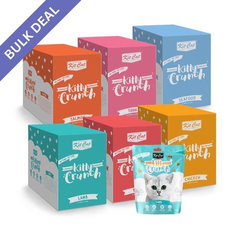 Kit Cat Kitty Crunch Bulk Deal 12 × 60g