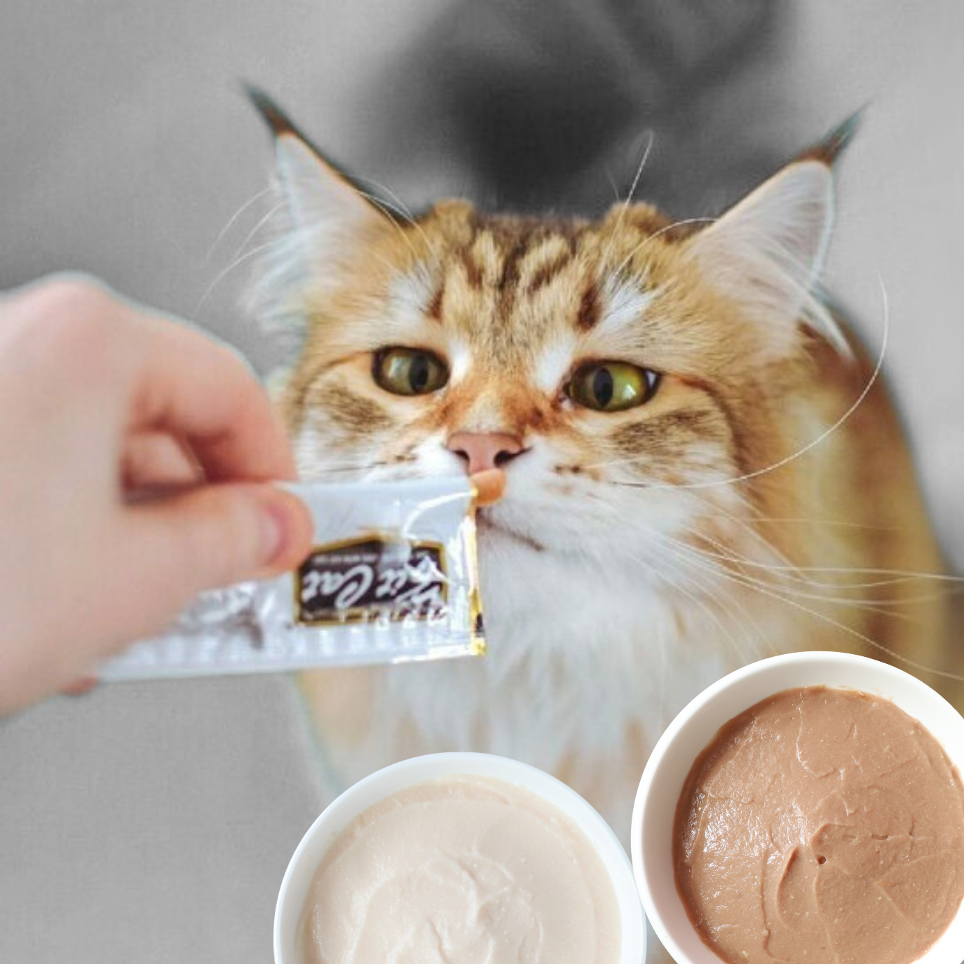 Kit Cat Purr Puree Plus+ Functional Care Cat Treats 4 x 15g