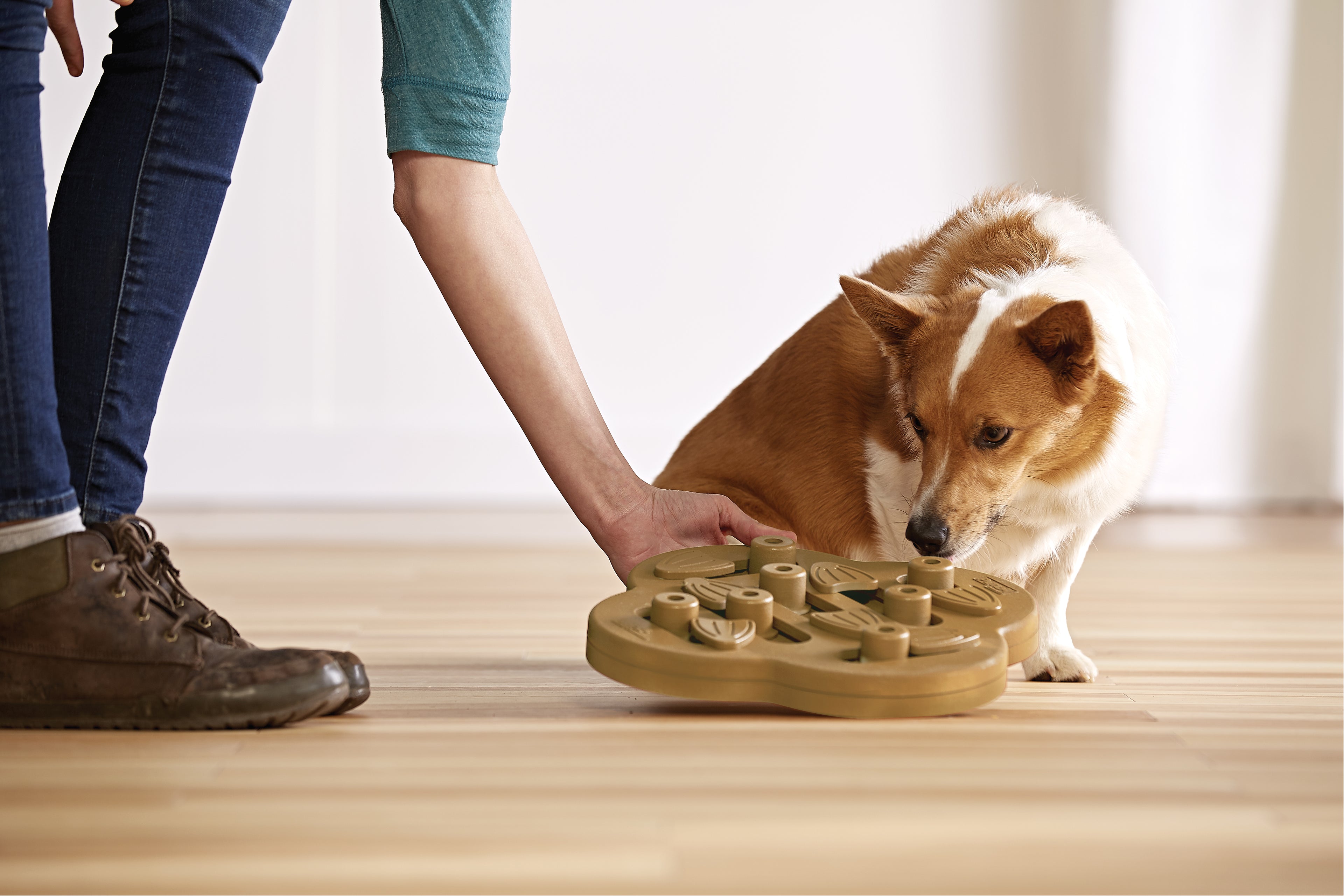 Nina Ottosson Dog Hide N' Slide Level 2 Interactive Dog Puzzle Toy