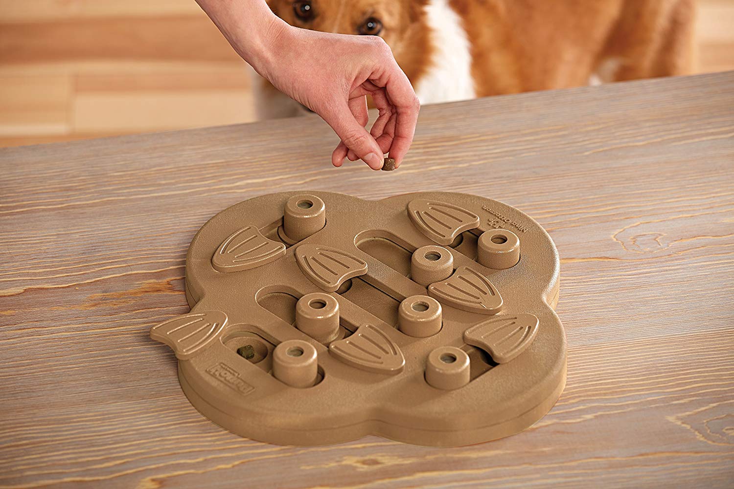Nina Ottosson Dog Hide N' Slide Level 2 Interactive Dog Puzzle Toy