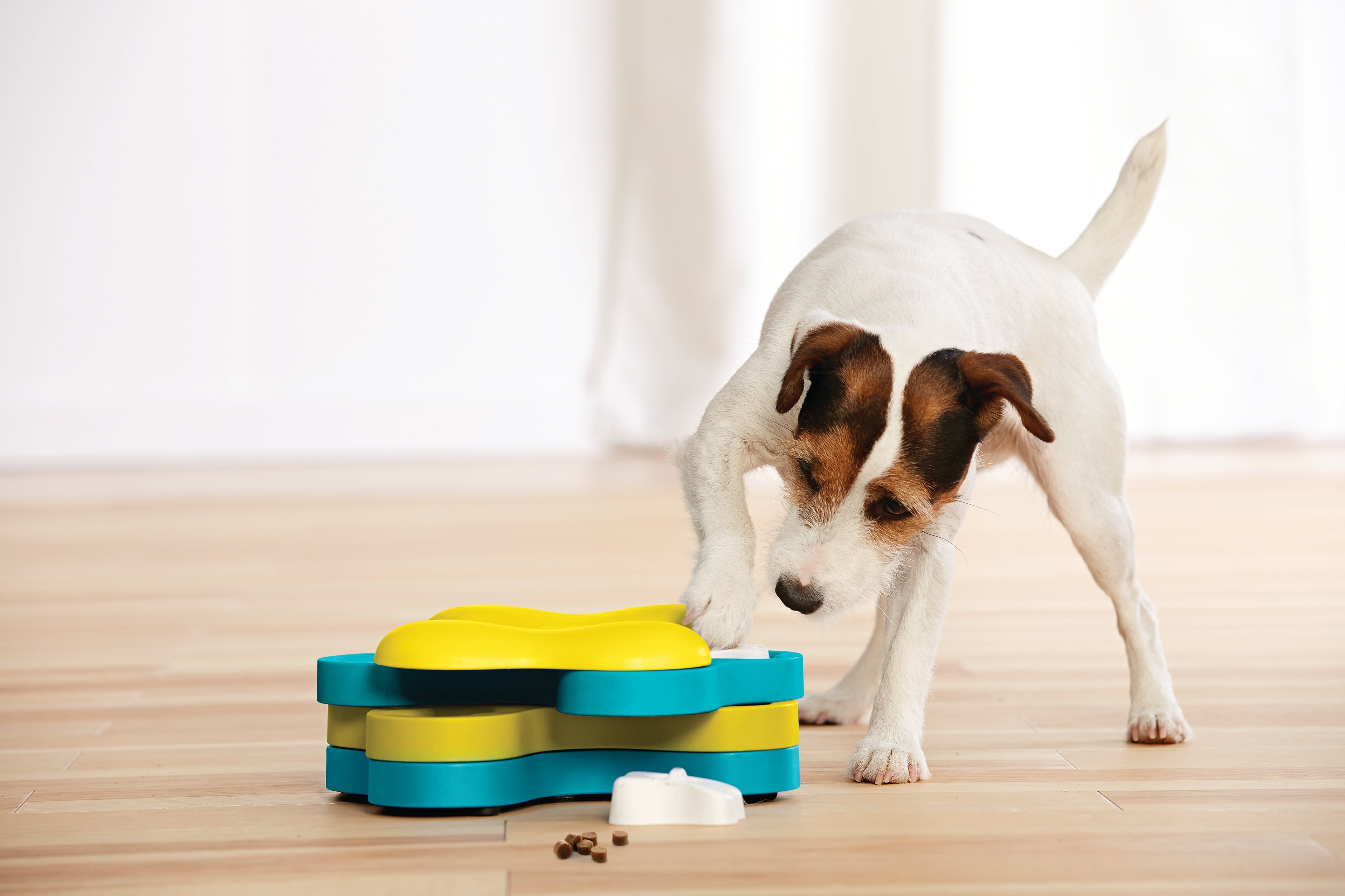 Nina Ottosson Dog Tornado Level 2 Interactive Dog Puzzle Toy