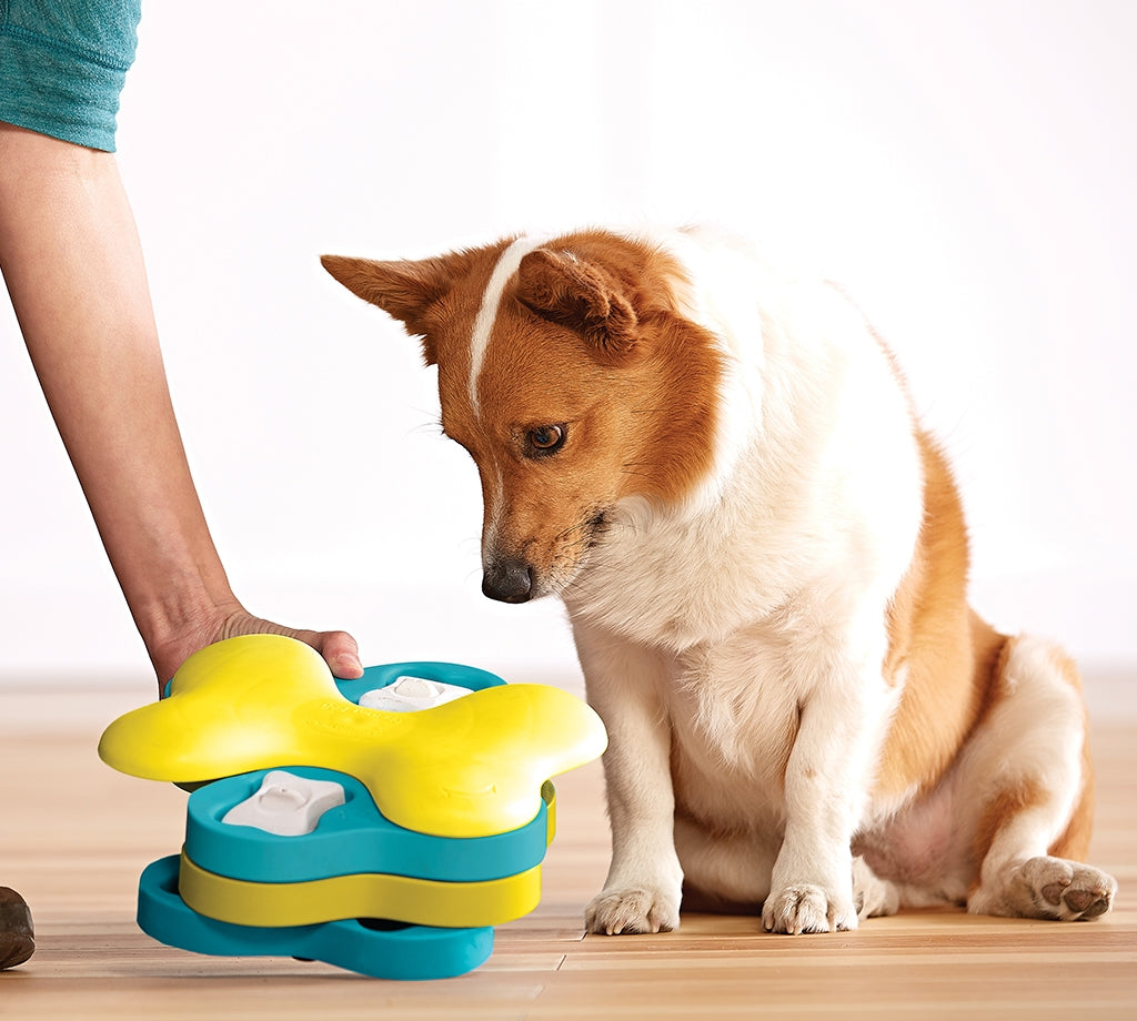 Nina Ottosson Dog Tornado Level 2 Interactive Dog Puzzle Toy