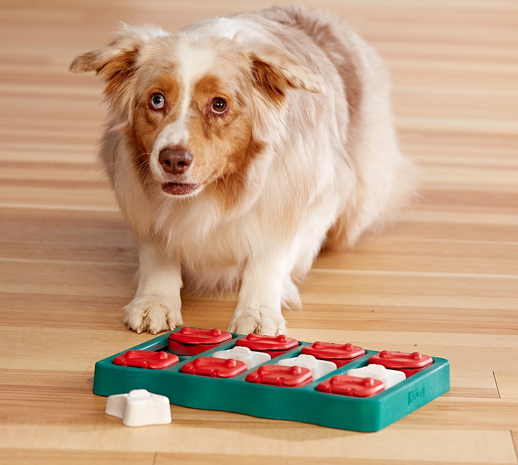 Nina Ottosson Dog Brick