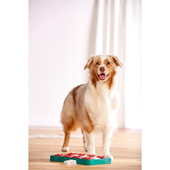 Nina Ottosson Dog Brick