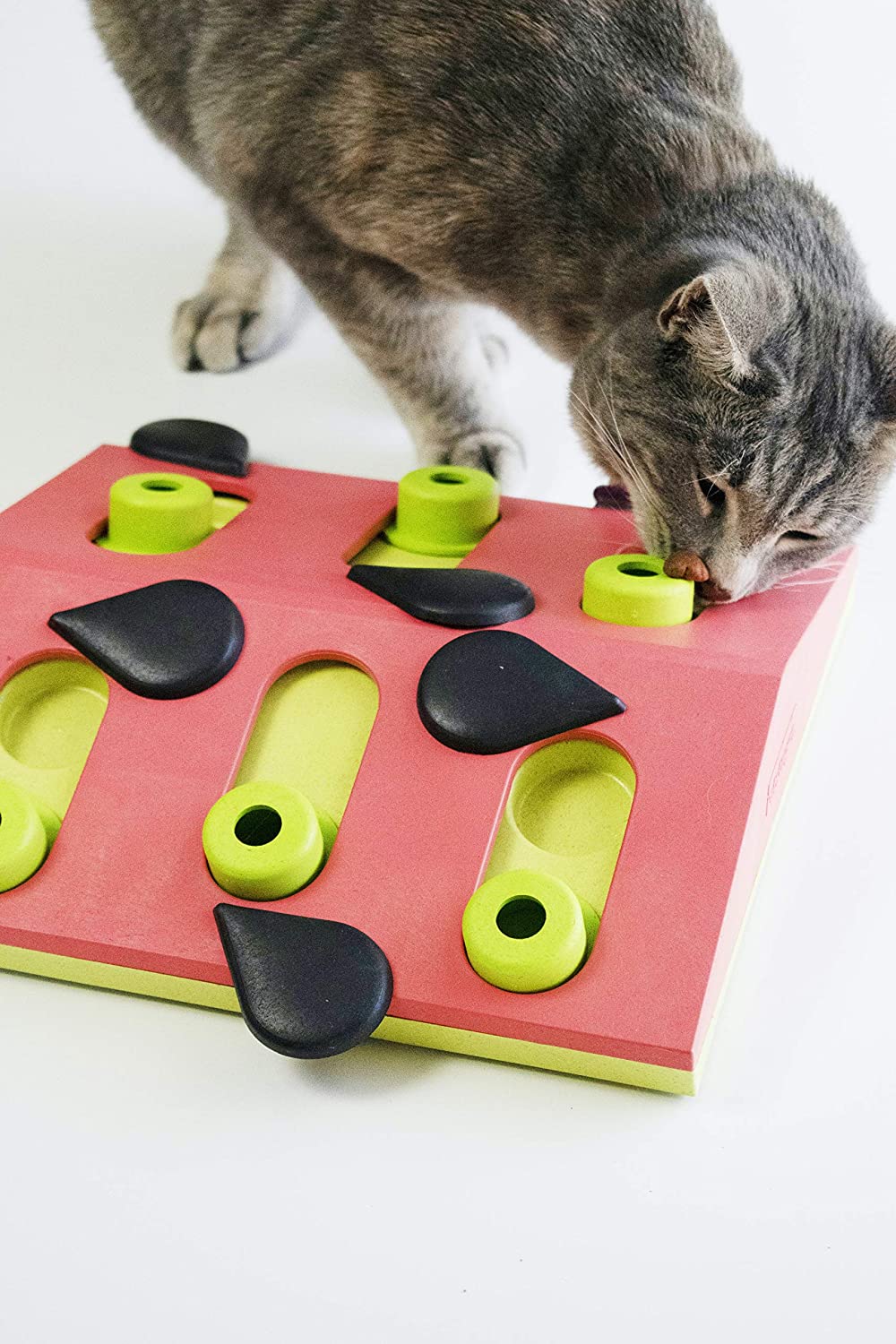 Nina Ottosson Cat Puzzle 'n Play Melon Madness