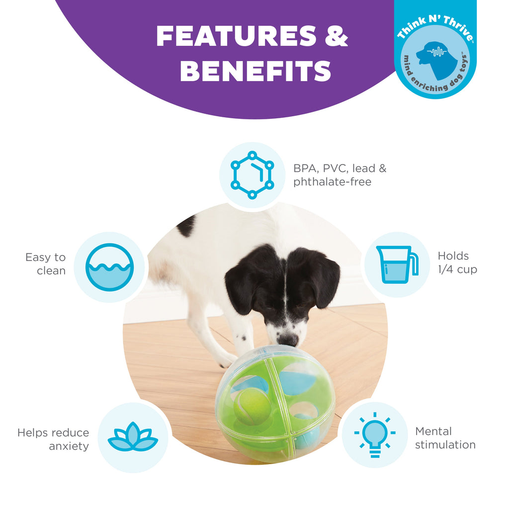 Nina Ottosson A-Maze Ball Level 2 Interactive Dog Puzzle Toy