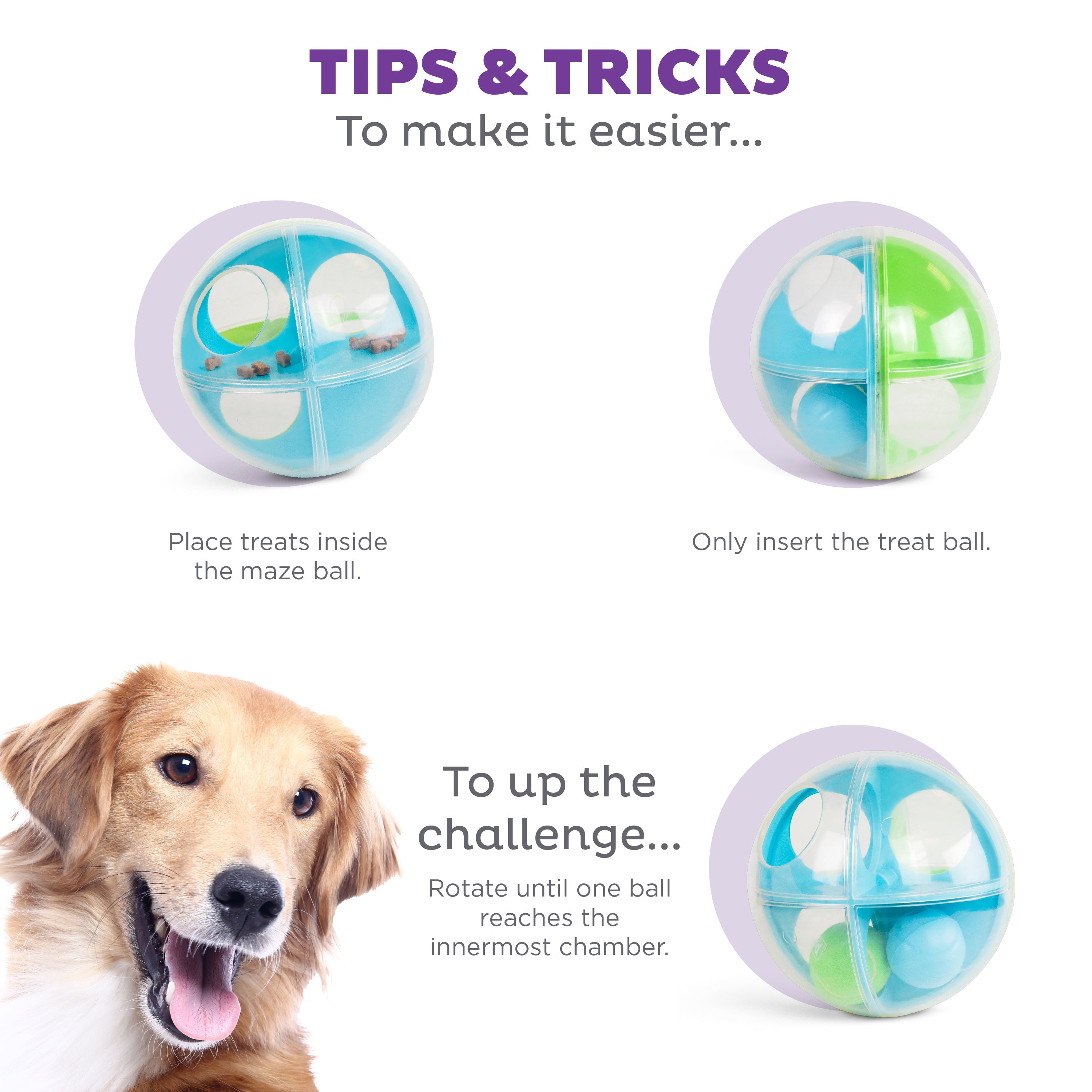 Nina Ottosson A-Maze Ball Level 2 Interactive Dog Puzzle Toy
