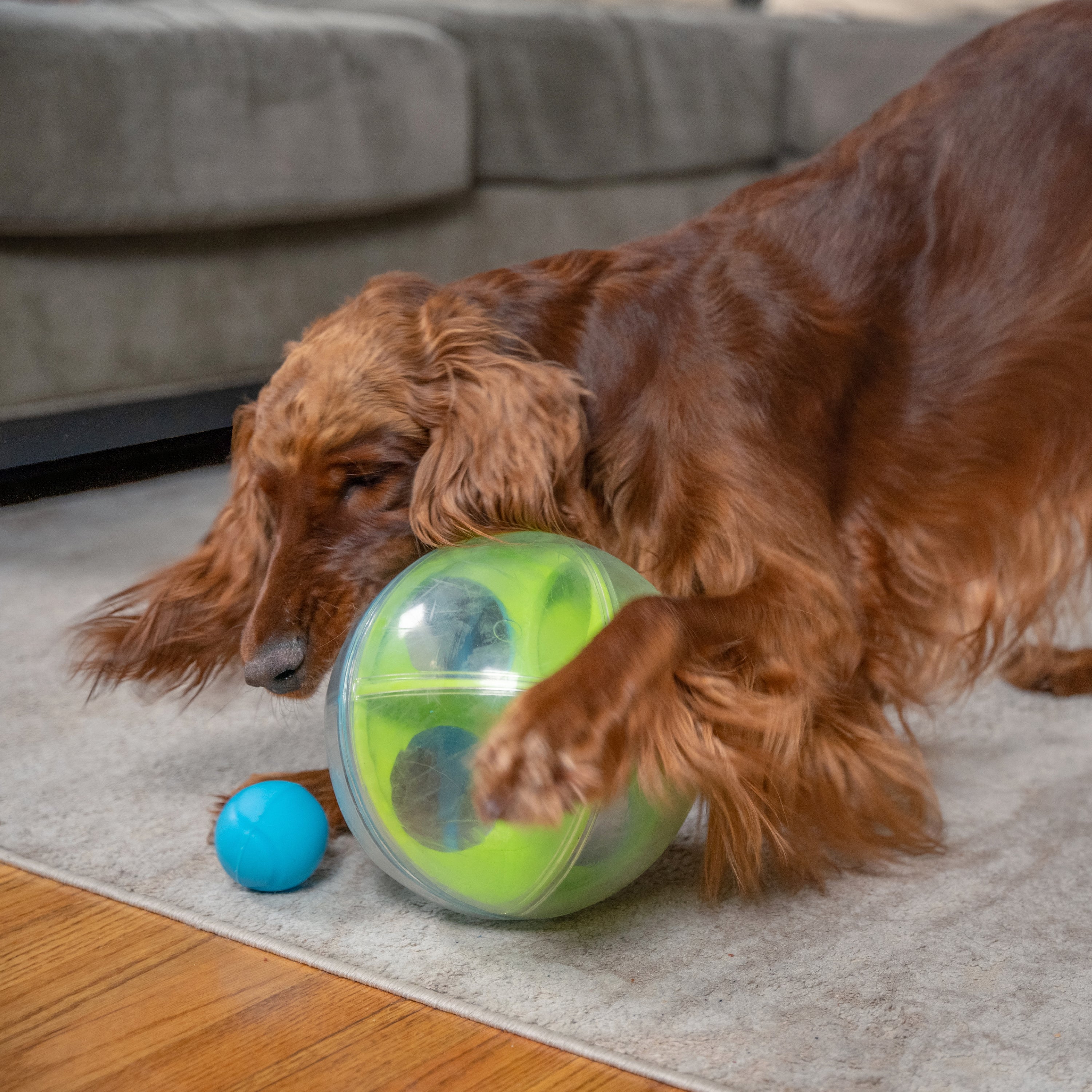 Nina Ottosson A-Maze Ball Level 2 Interactive Dog Puzzle Toy