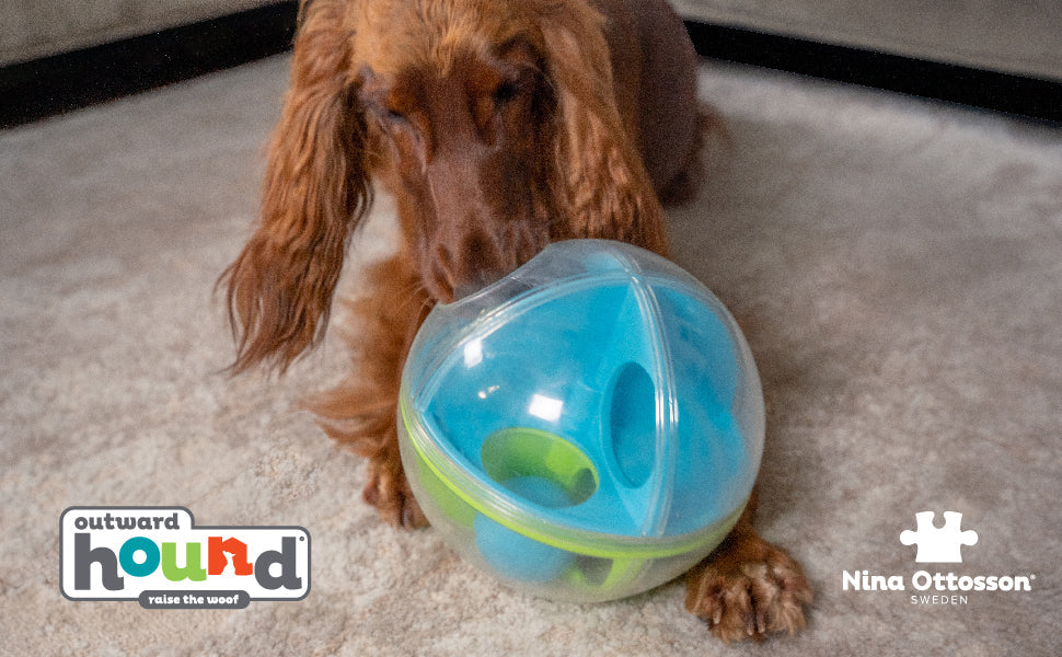 Nina Ottosson A-Maze Ball Level 2 Interactive Dog Puzzle Toy