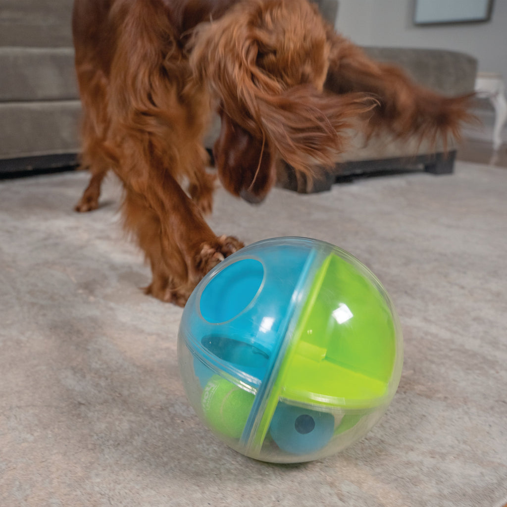 Nina Ottosson A-Maze Ball Level 2 Interactive Dog Puzzle Toy
