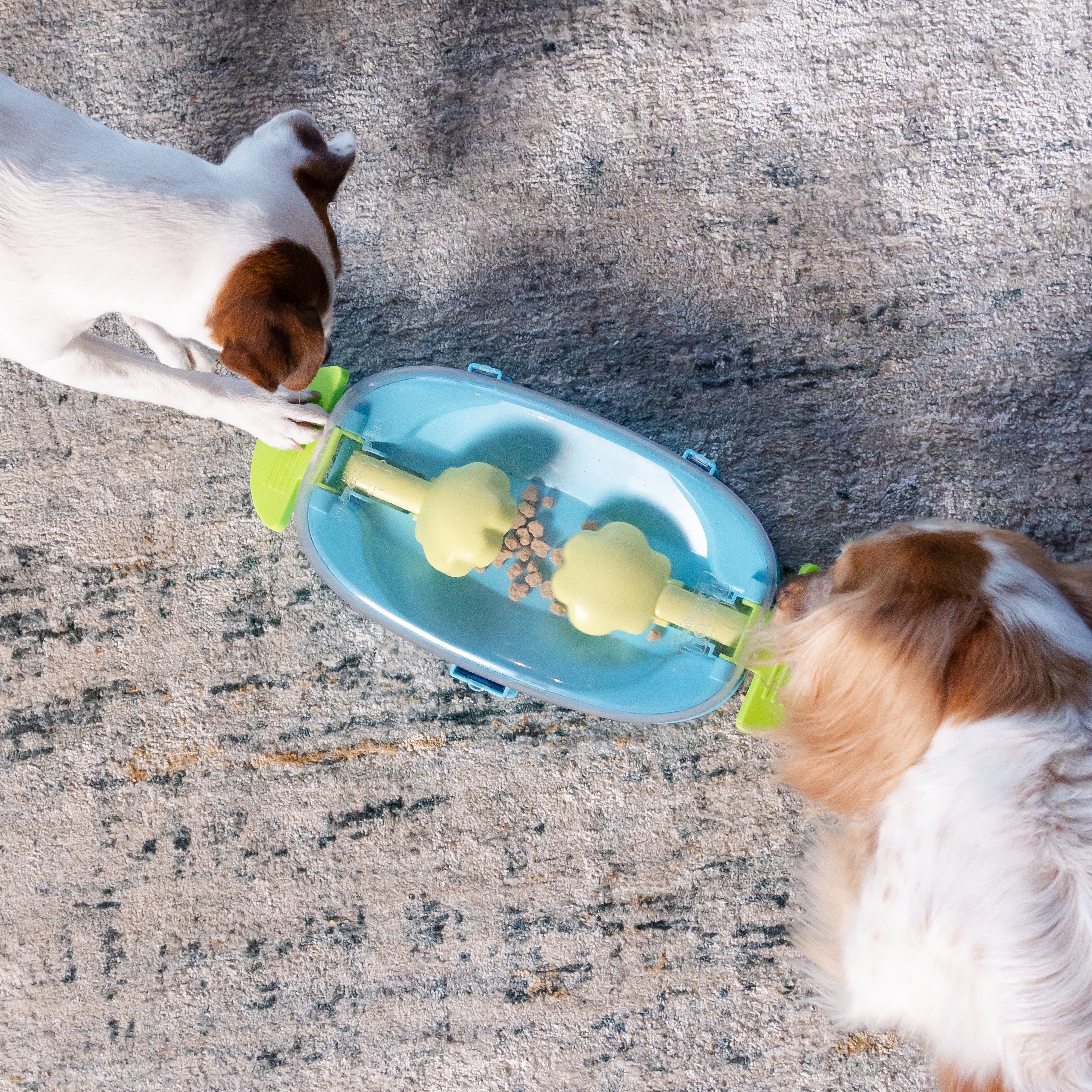 Nina Ottosson Paw 'n Play