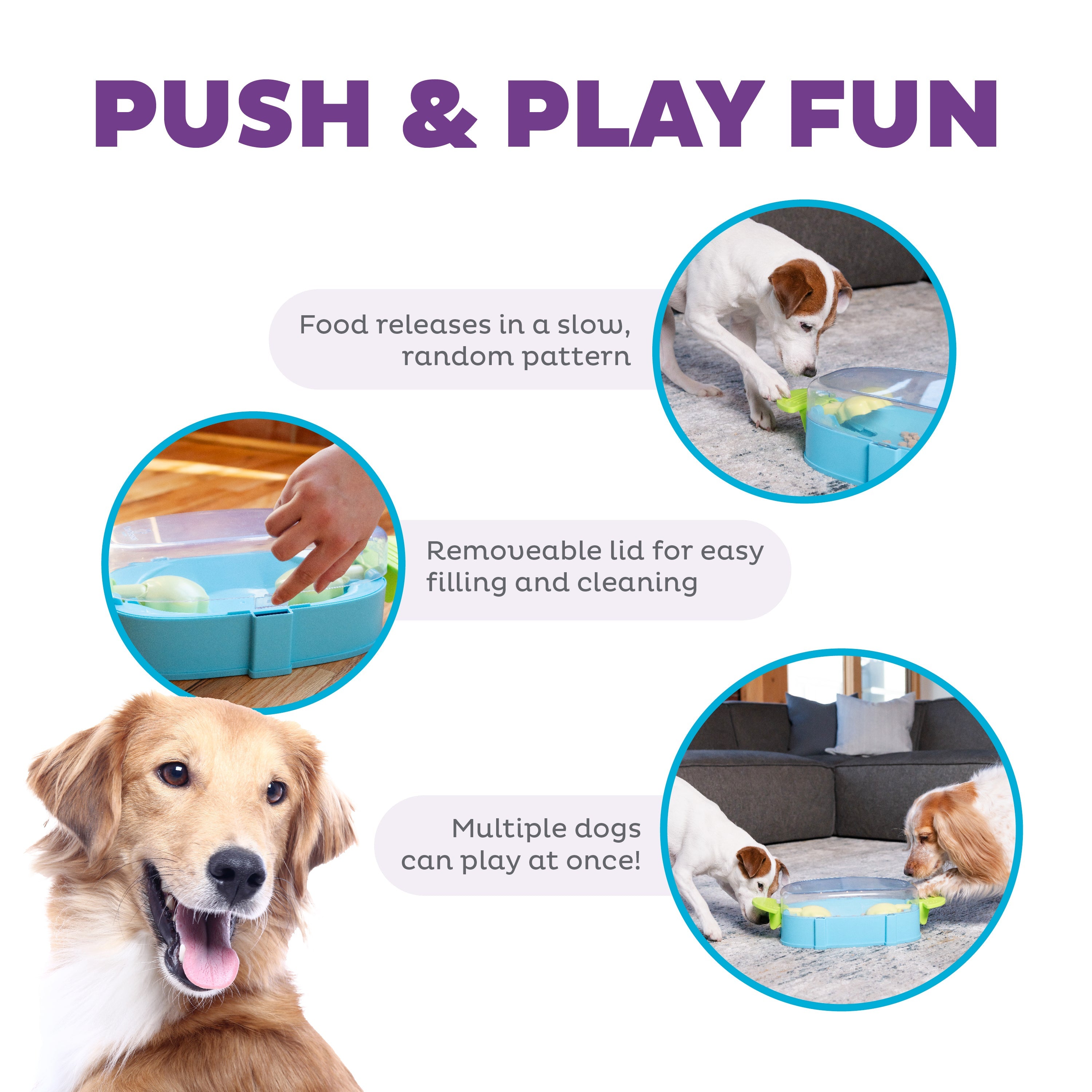 Nina Ottosson Paw 'n Play