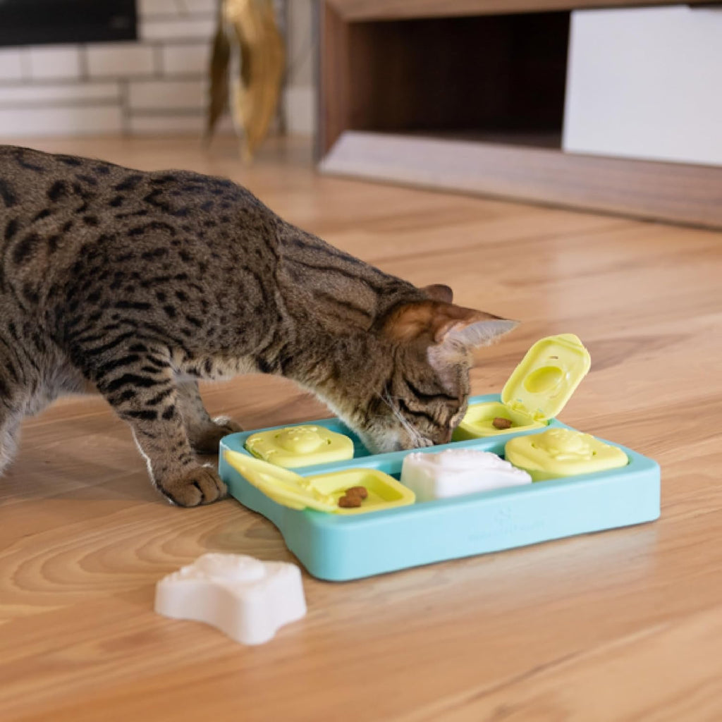 Nina Ottosson Kitty Cube Puzzle