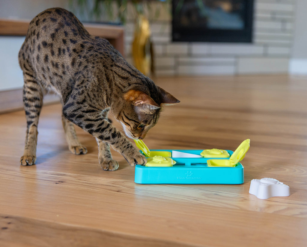 Nina Ottosson Kitty Cube Puzzle