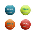 Outward Hound Squeaker Ballz 4-Pack