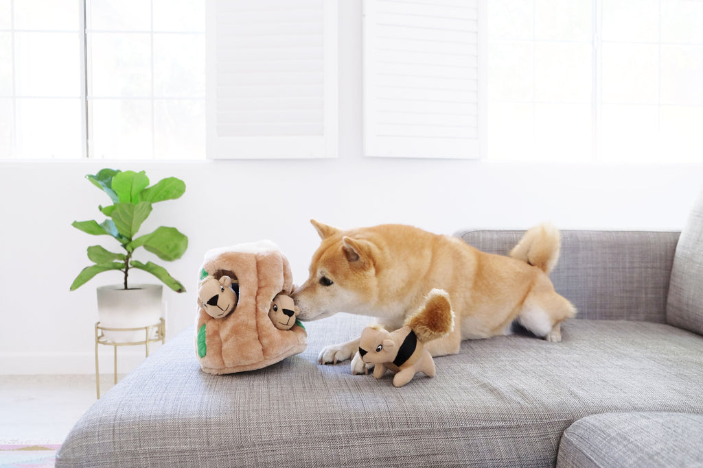 Outward Hound Hide A Squirrel