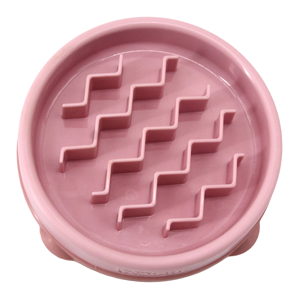 Outward Hound Fun Feeder Slo-Bowl