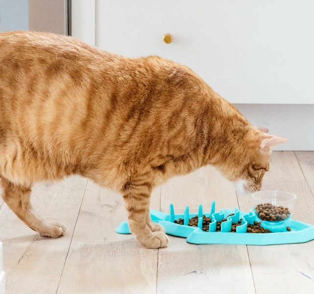 Outward Hound Cat Hunt 'n Snack Mat