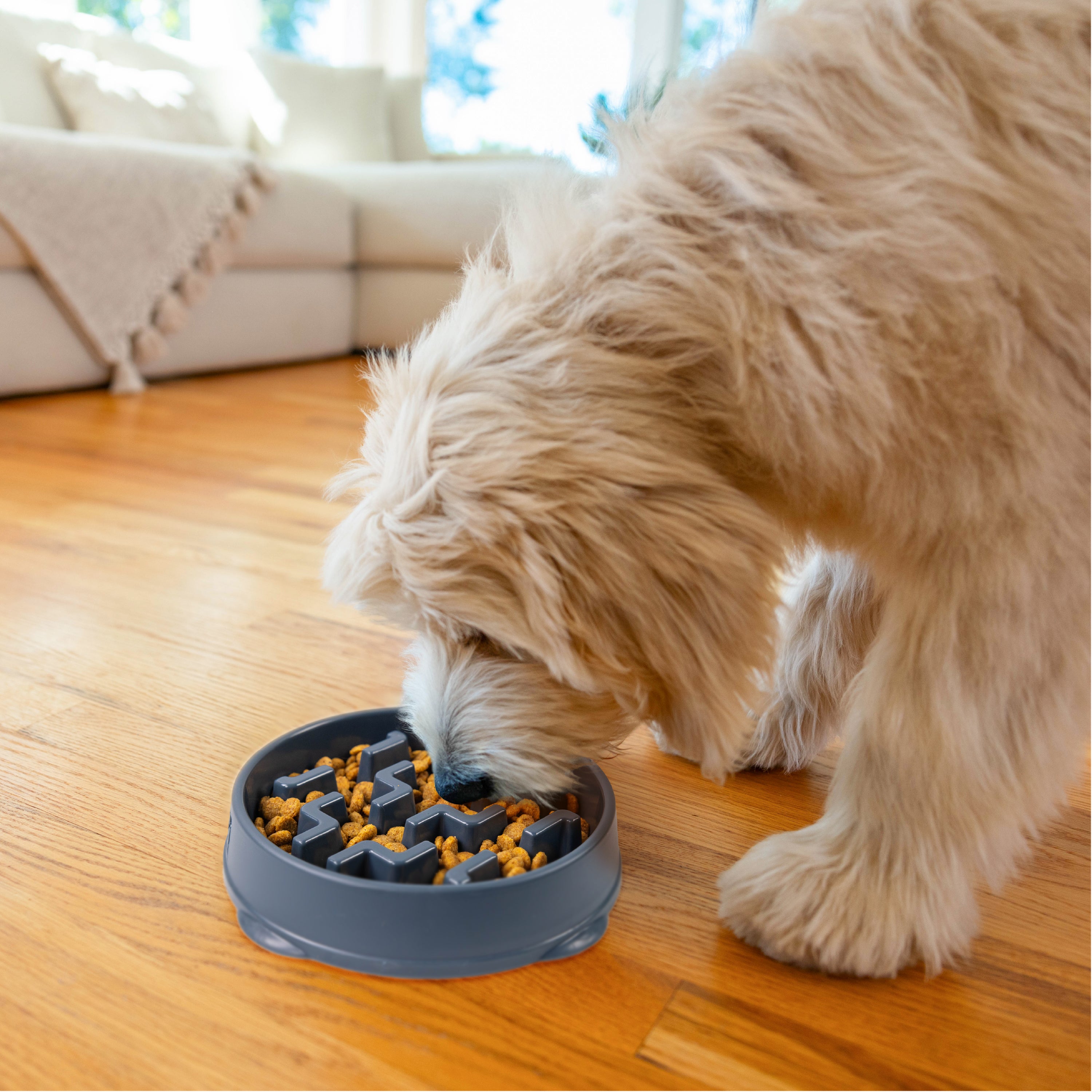 Outward Hound Fun Feeder Slo-Bowl