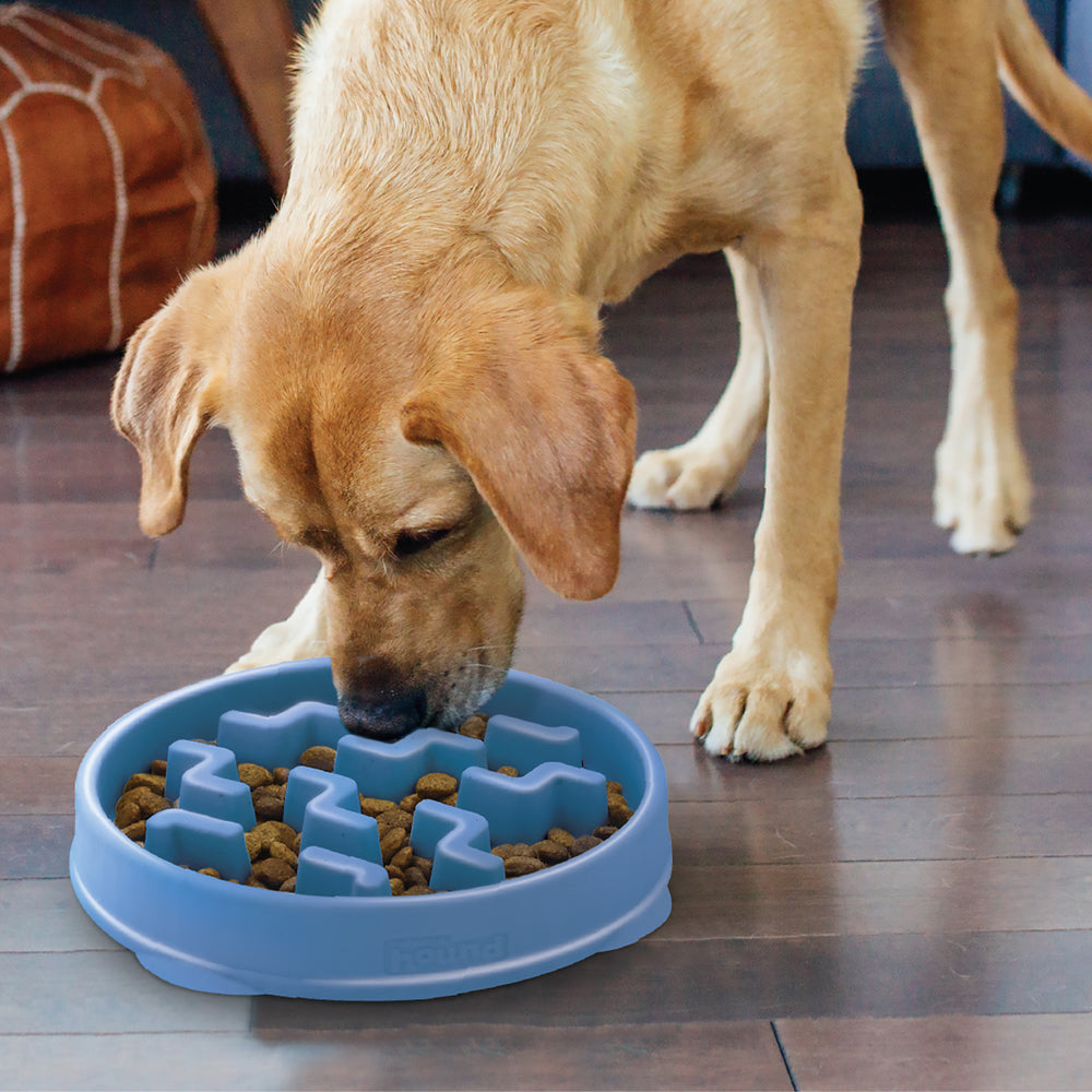 Outward Hound Fun Feeder Slo-Bowl