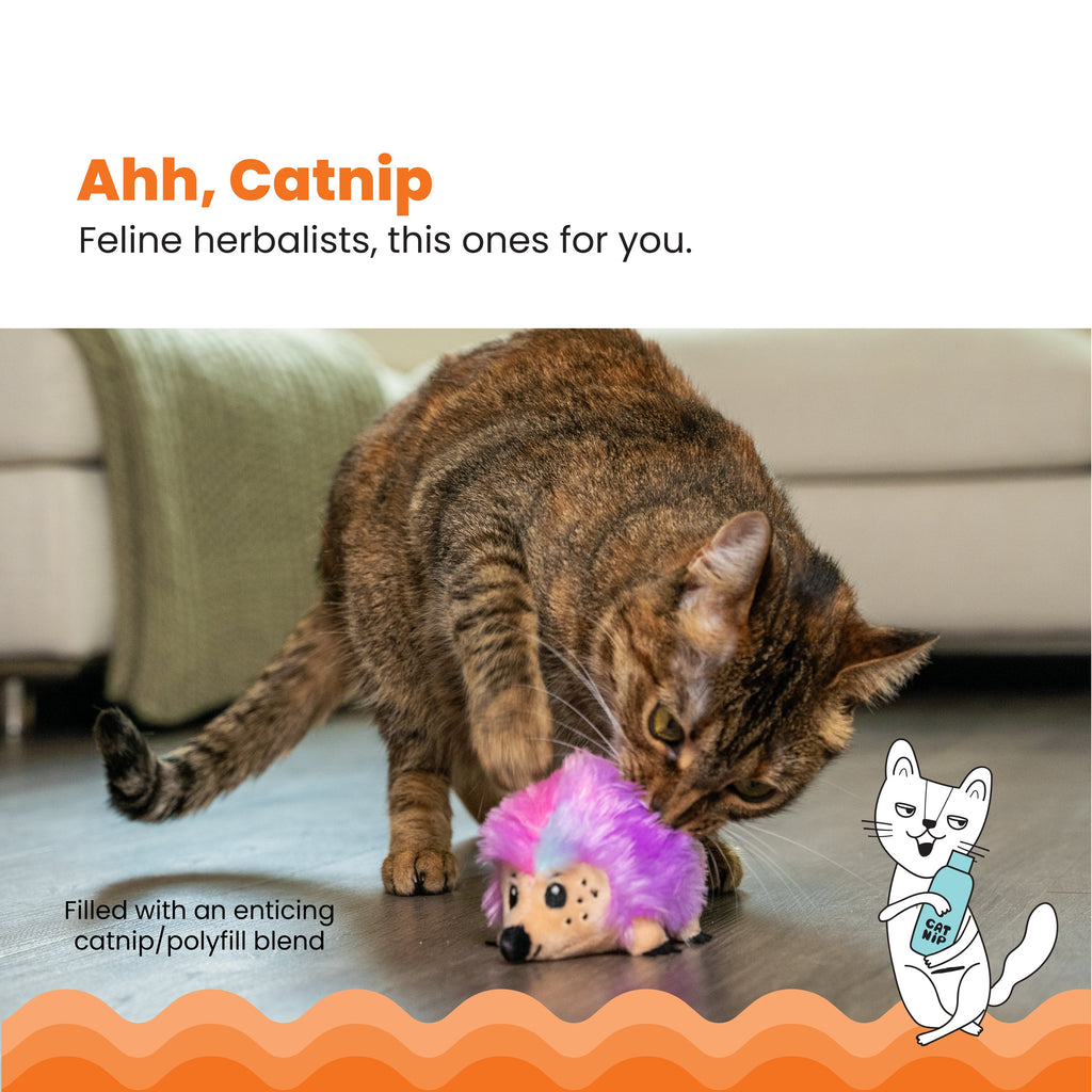 Catstages Catnip Plushies Hedgehog