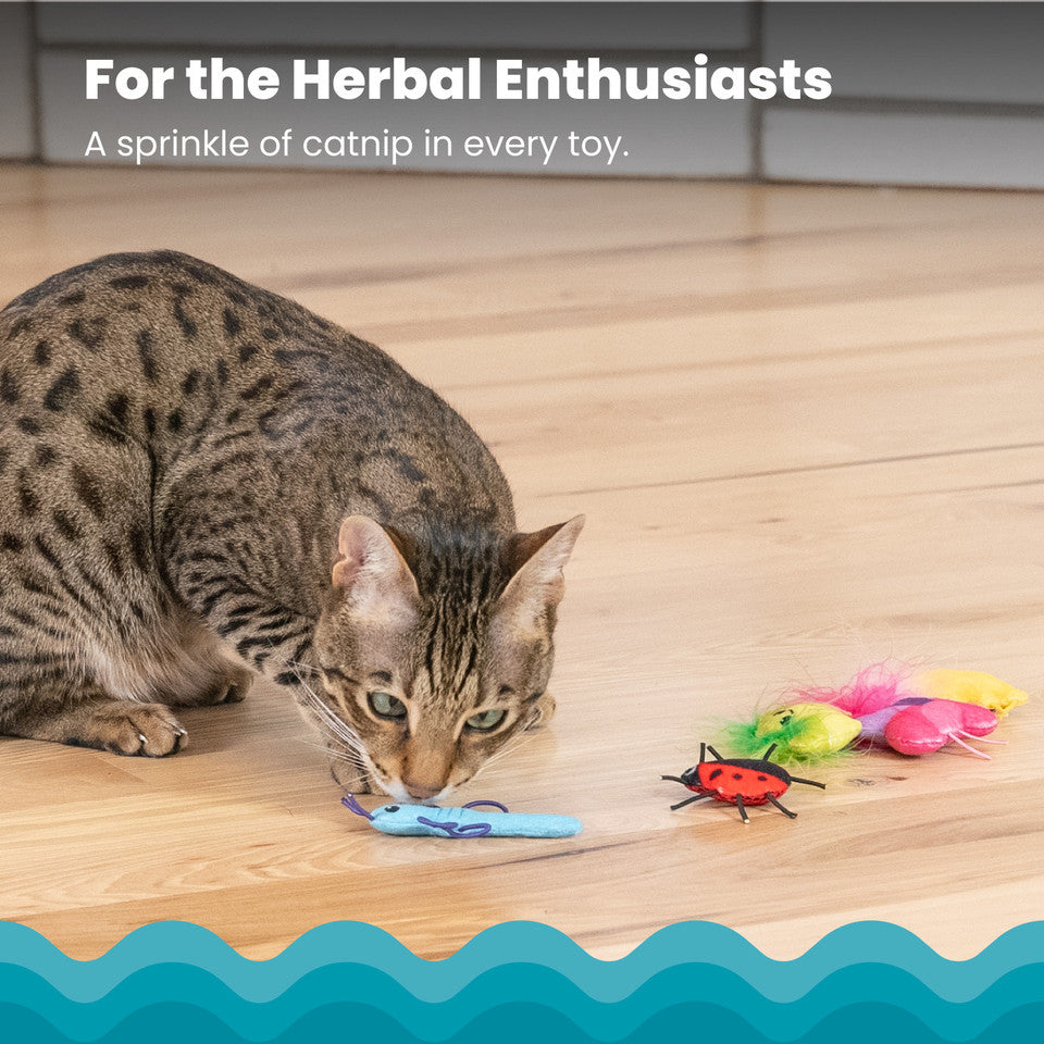 Petstages Cute As A Bug 6-Pack