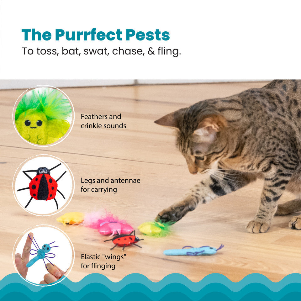 Petstages Cute As A Bug 6-Pack
