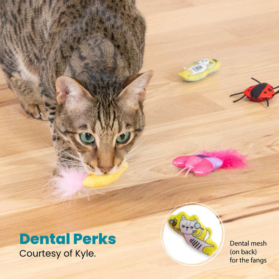 Petstages Cute As A Bug 6-Pack