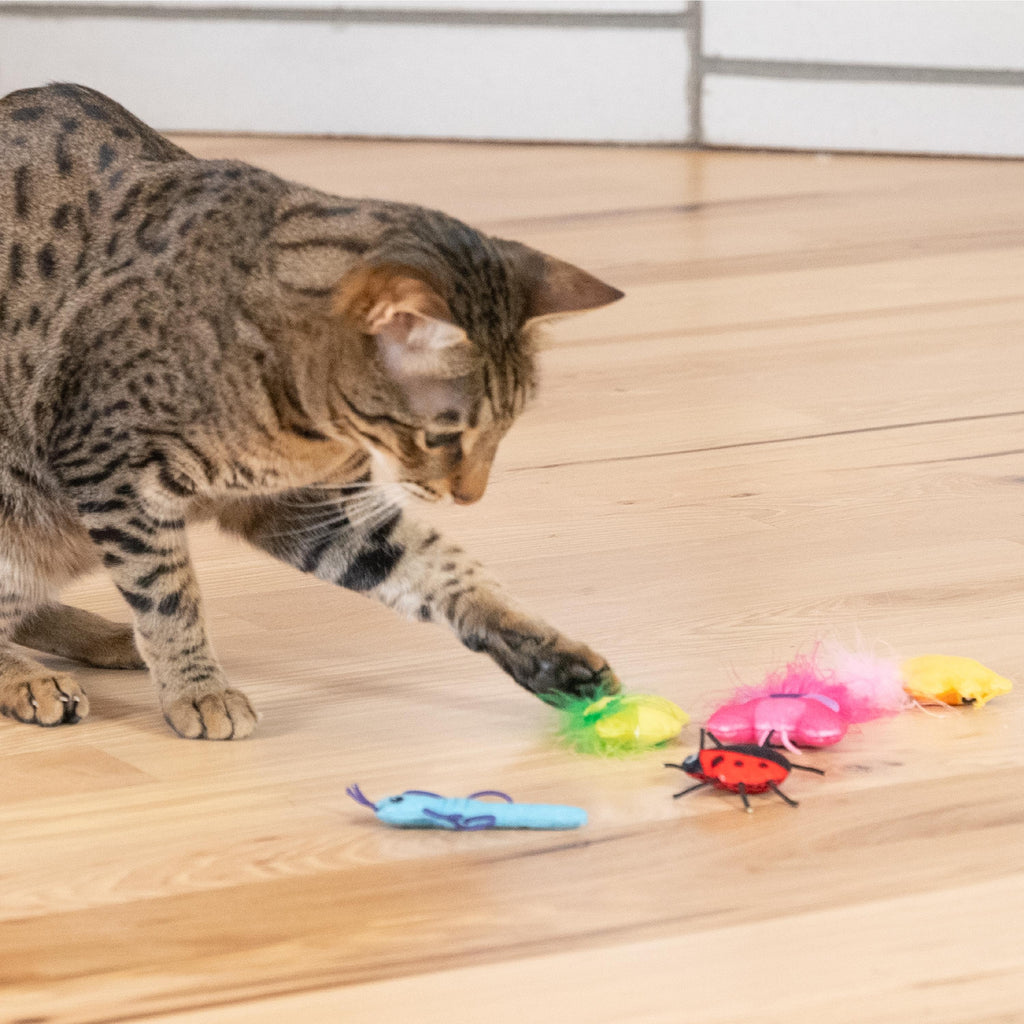 Petstages Cute As A Bug 6-Pack
