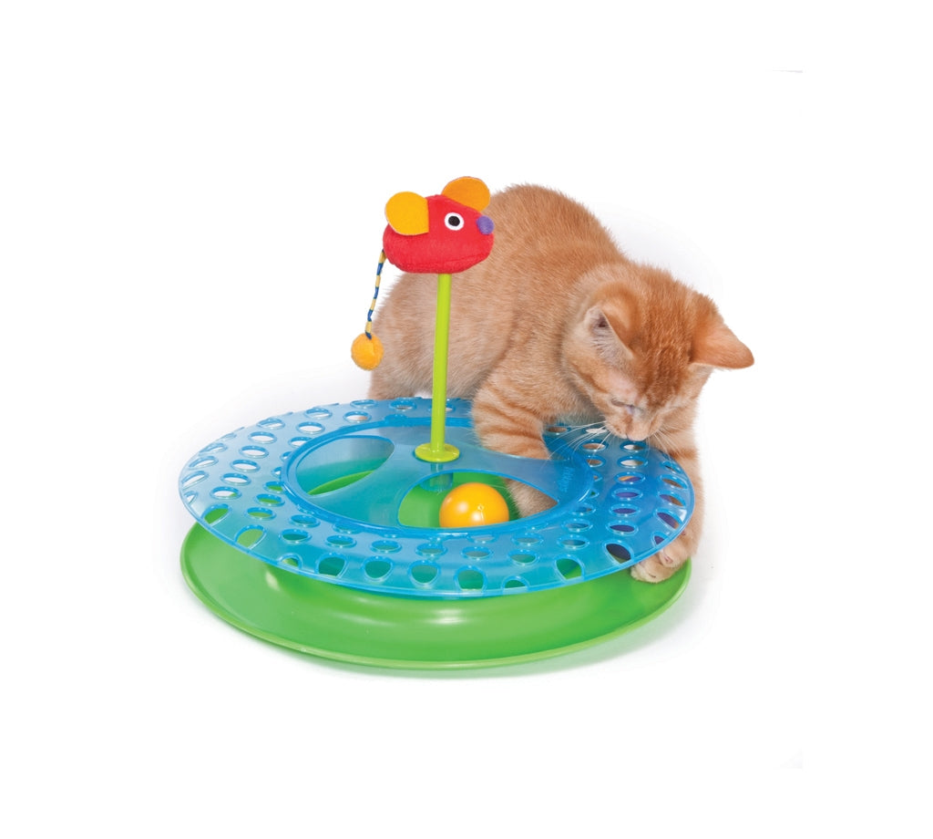Catstages Cheese Chase