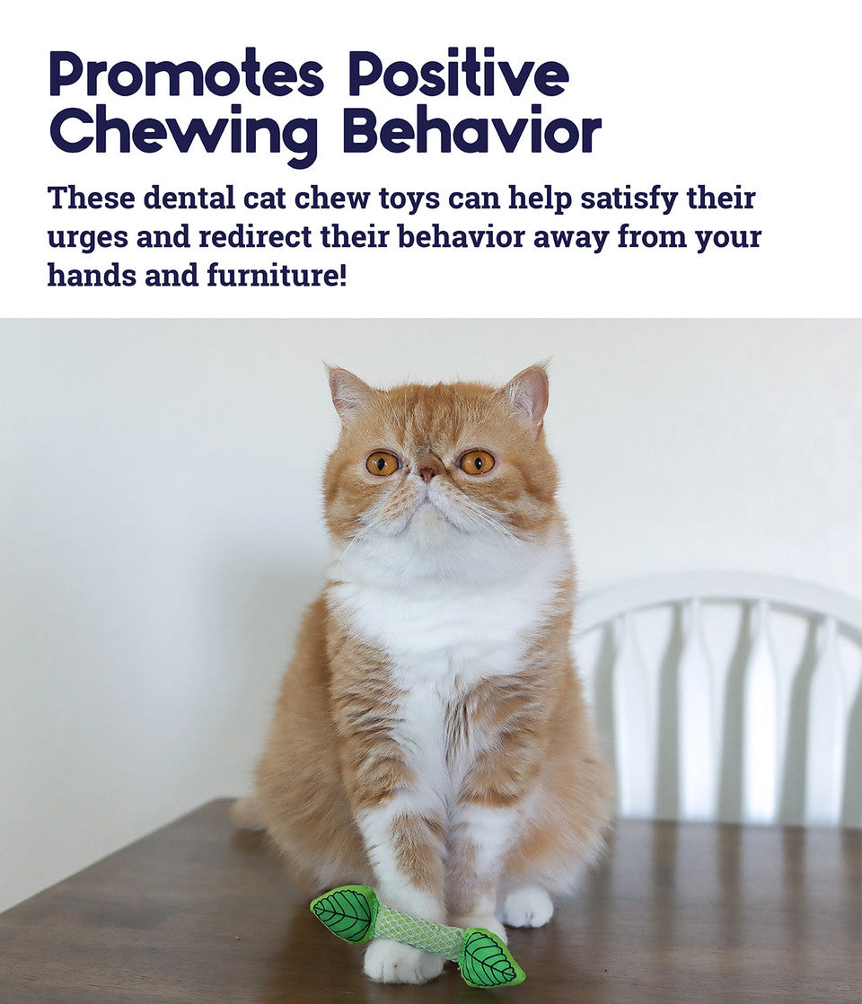 Catstages Fresh Breath Mint Stick