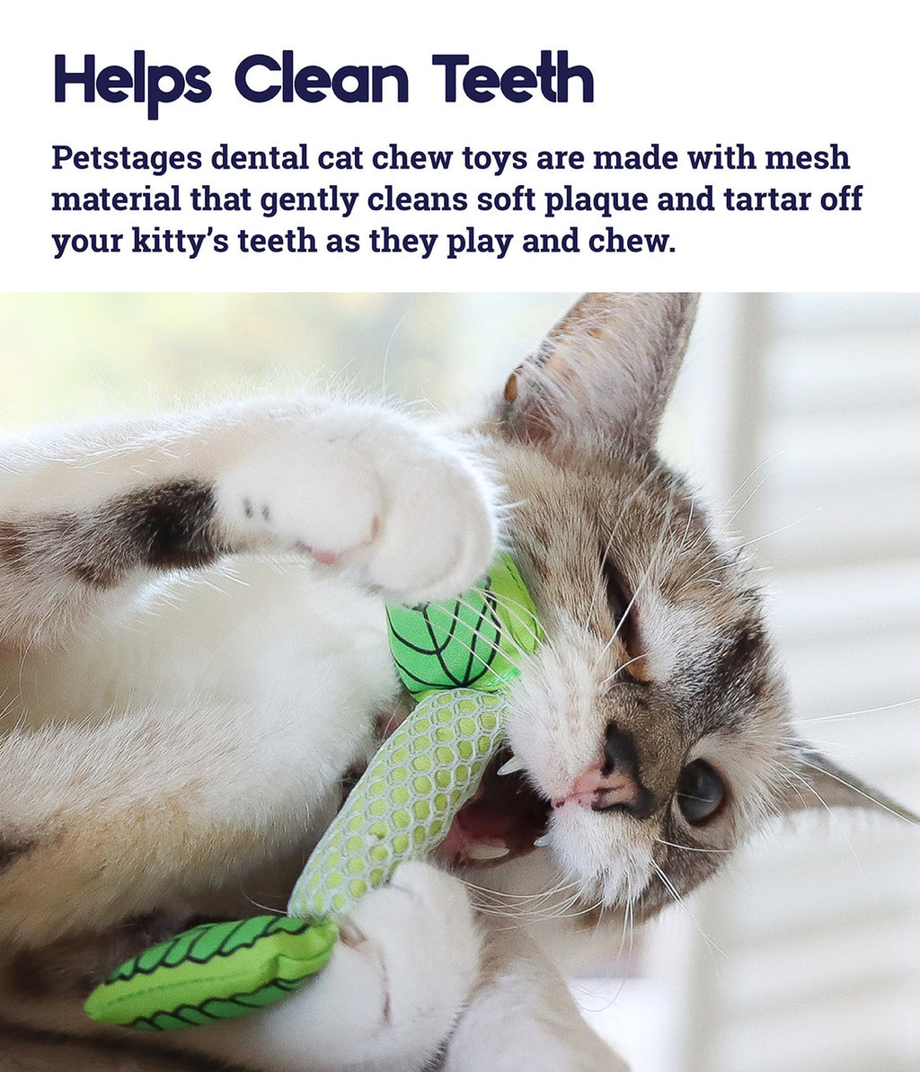 Catstages Fresh Breath Mint Stick