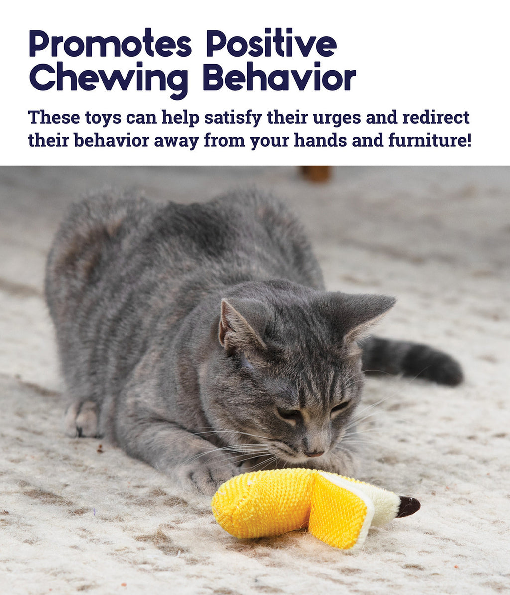 Catstages Dental Banana
