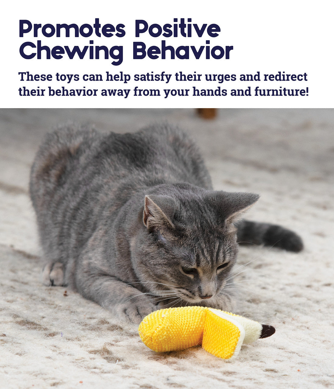 Catstages Dental Banana