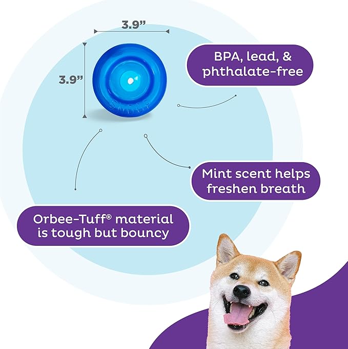 Planet Dog Orbee-Tuff Snoop