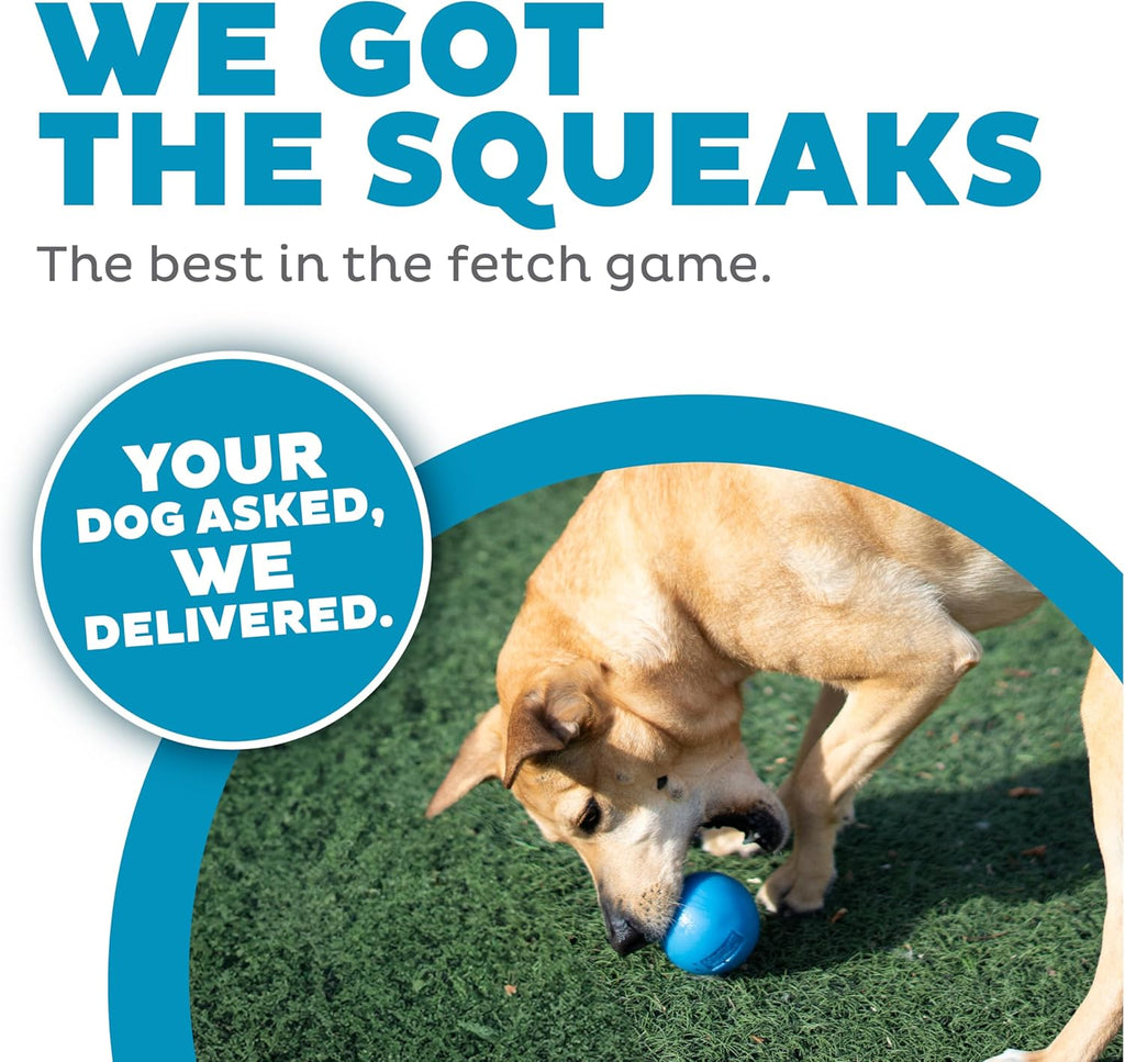 Petstages Planet Dog Orbee-Tuff Squeak Ball