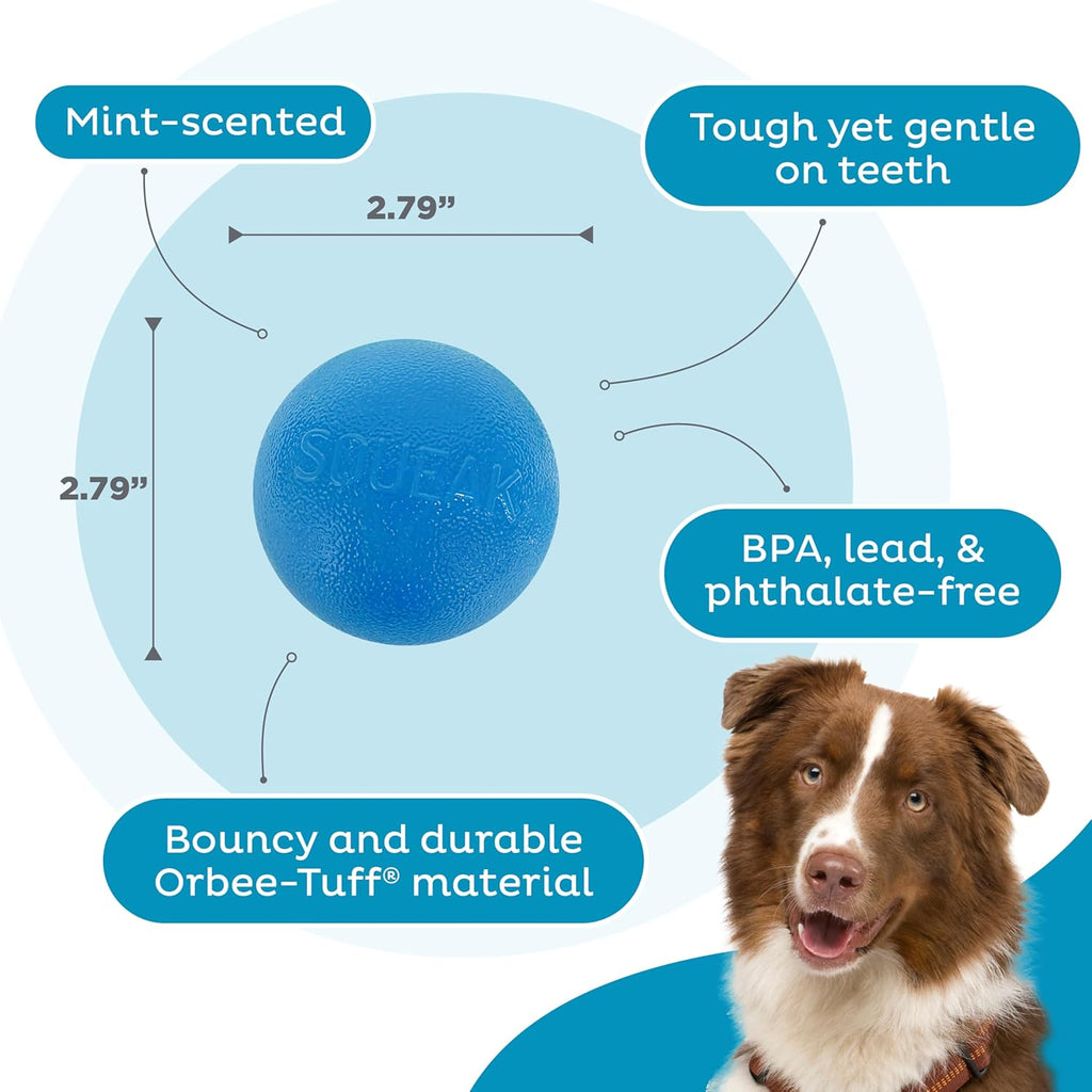 Petstages Planet Dog Orbee-Tuff Squeak Ball