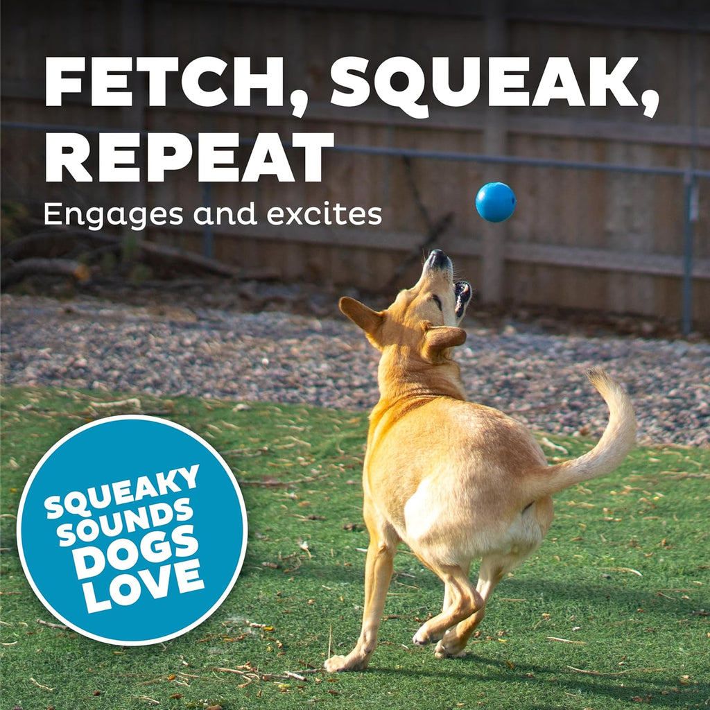 Petstages Planet Dog Orbee-Tuff Squeak Ball