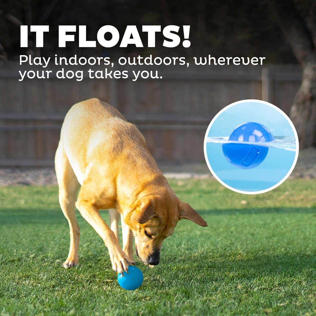 Petstages Planet Dog Orbee-Tuff Squeak Ball