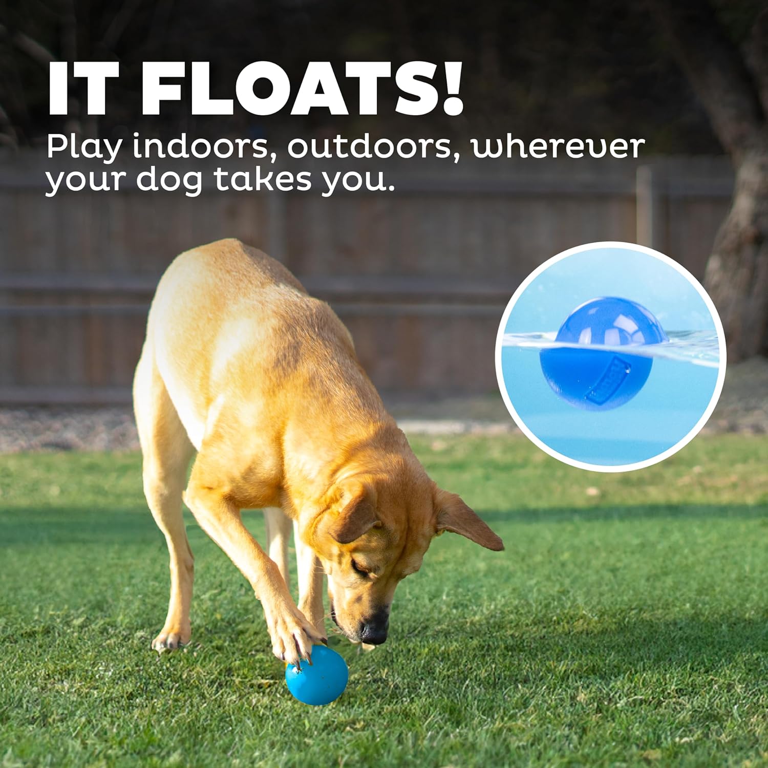 Petstages Planet Dog Orbee-Tuff Squeak Ball