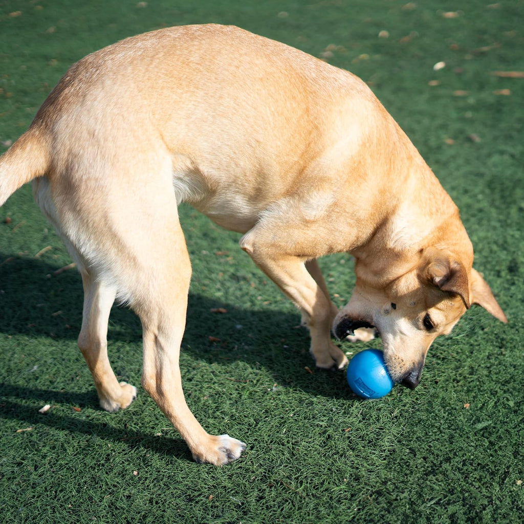 Petstages Planet Dog Orbee-Tuff Squeak Ball