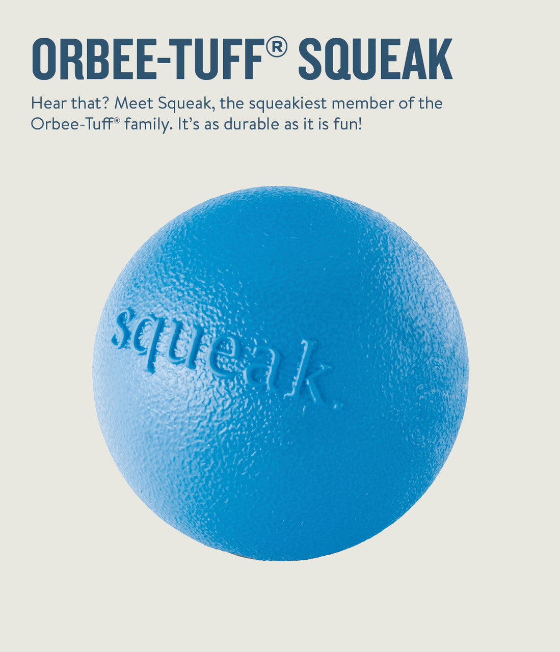 Petstages Planet Dog Orbee-Tuff Squeak Ball