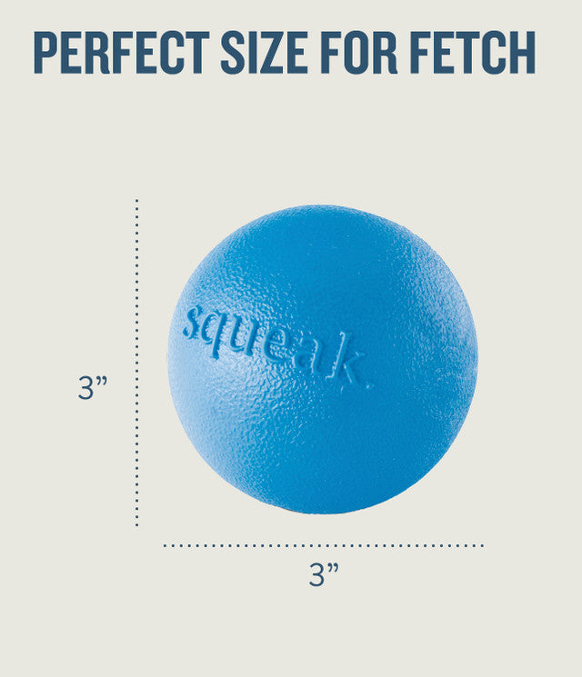Petstages Planet Dog Orbee-Tuff Squeak Ball