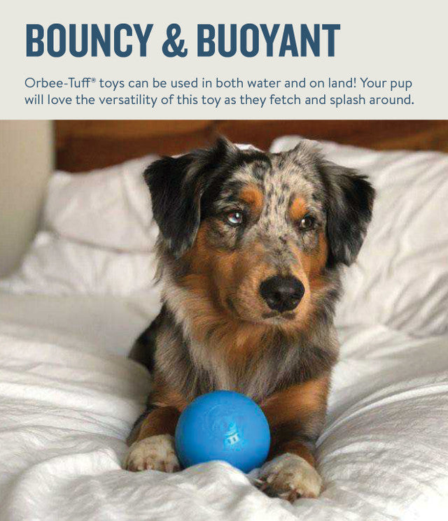 Petstages Planet Dog Orbee-Tuff Squeak Ball