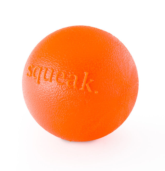 Petstages Planet Dog Orbee-Tuff Squeak Ball
