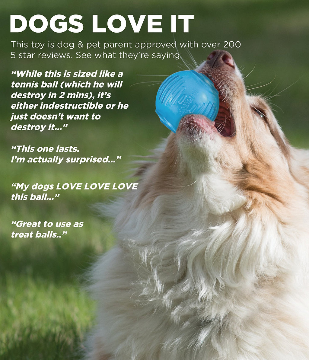 Petstages ORKA Tennis Ball